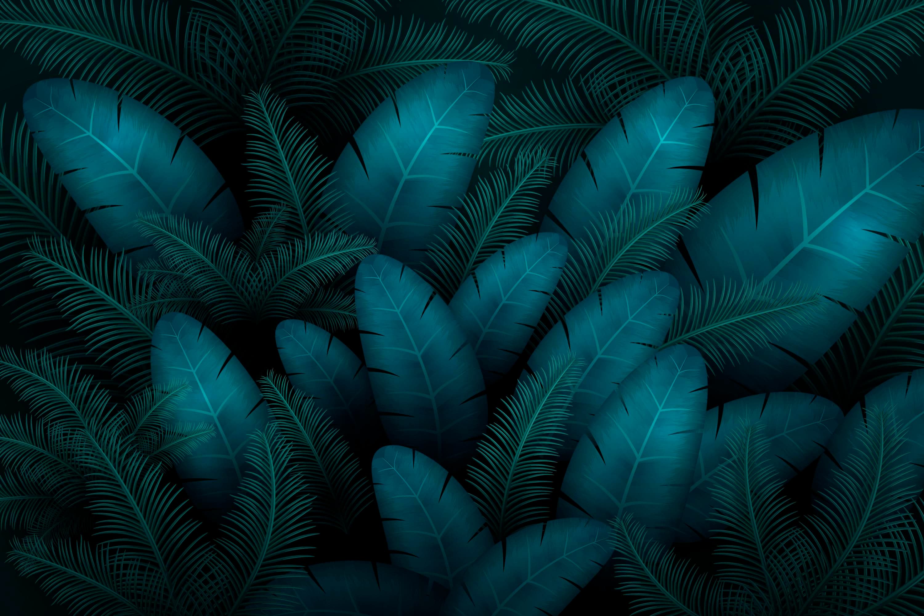 Tropical beach aerial view