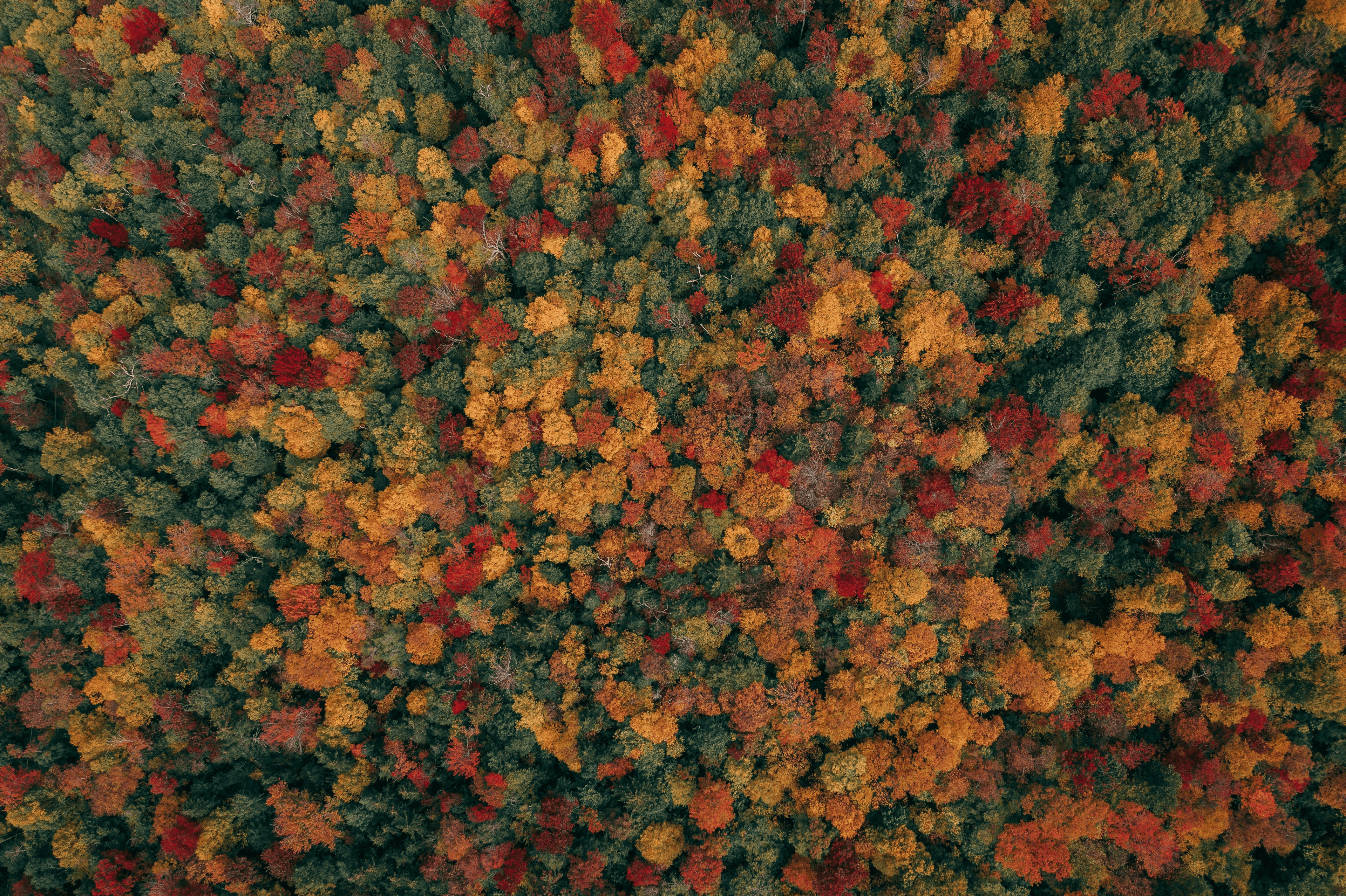 Blog header background